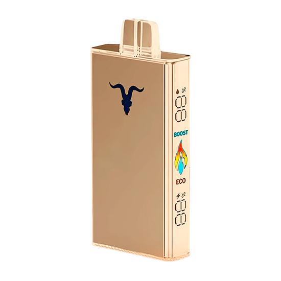 IGNITE V250 25.000 PUFFS