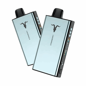 IGNITE V400 ICE 40.000 PUFFS